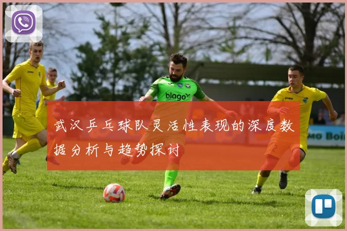 武汉乒乓球队灵活性表现的深度数据分析与趋势探讨