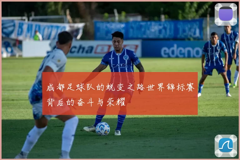 成都足球队的蜕变之路世界锦标赛背后的奋斗与荣耀