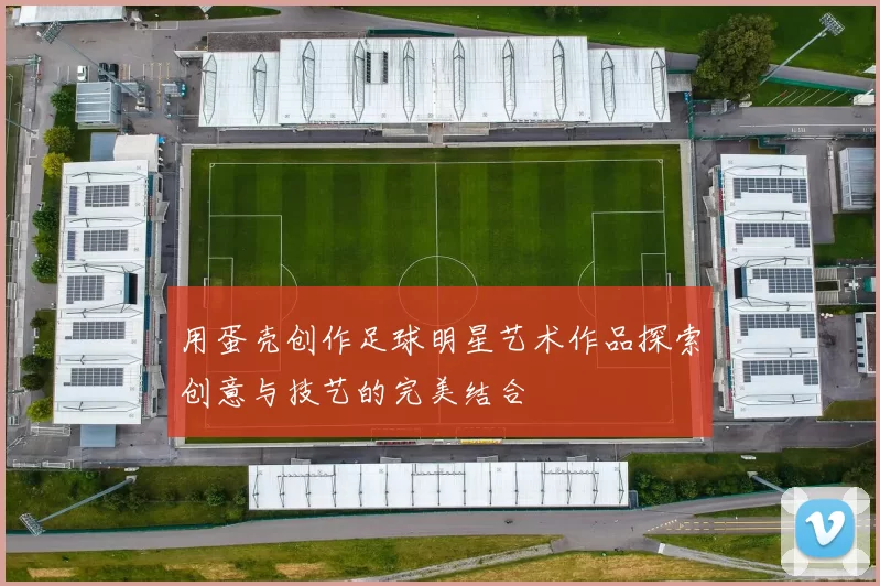 用蛋壳创作足球明星艺术作品探索创意与技艺的完美结合