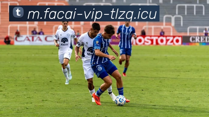 爱游戏体育APP 封面图